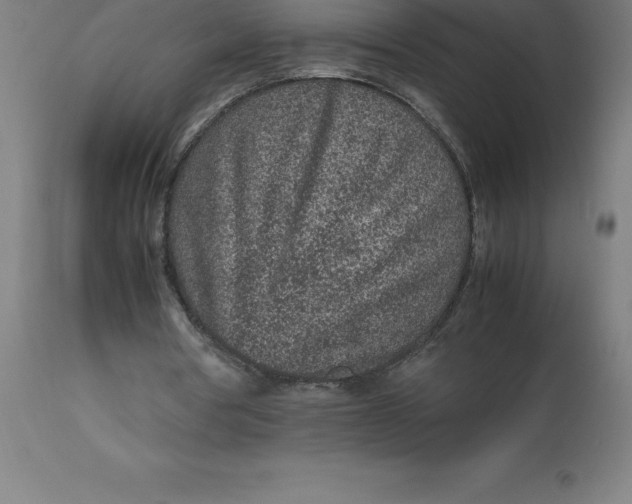 X0000112510386200909071313