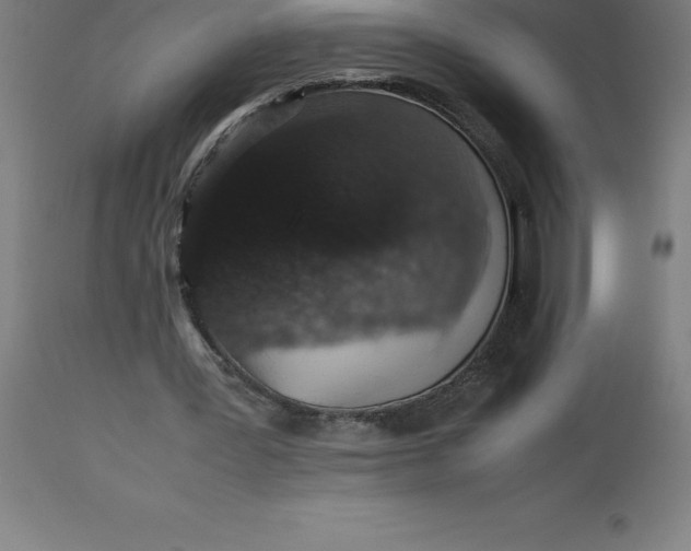 X0000112510387200909071313