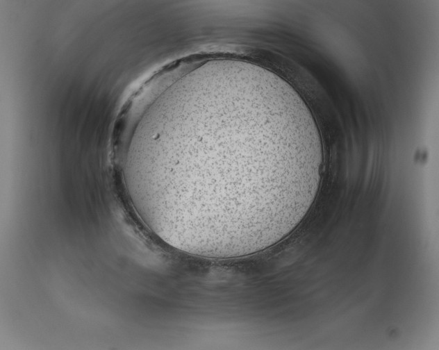 X0000112510388200909071313