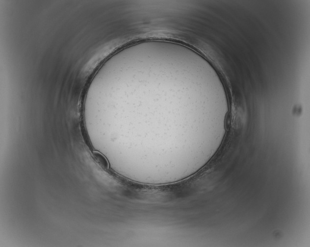 X0000112510389200909071313