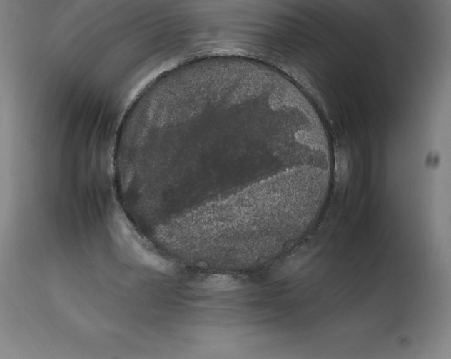 X0000112510390200909071313