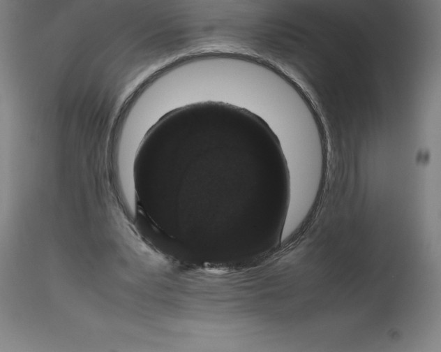 X0000112510391200909071313