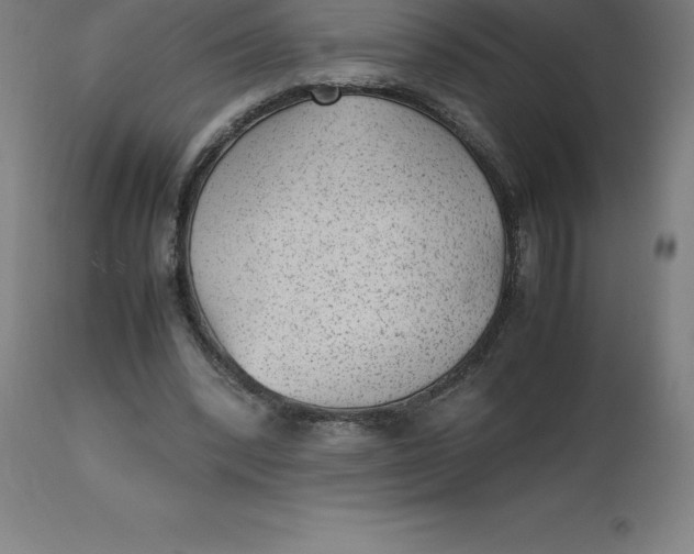 X0000112510392200909071313