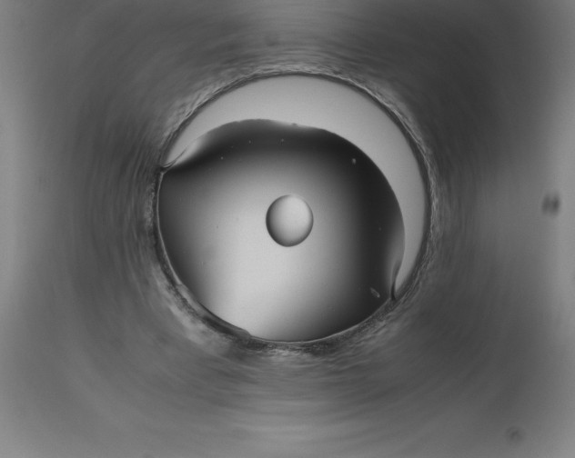 X0000112510393200909071313