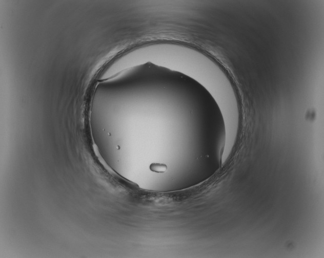 X0000112510395200909071313