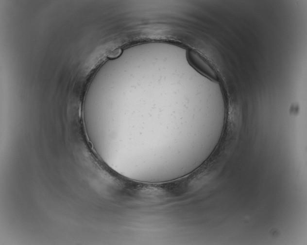 X0000112510397200909071313