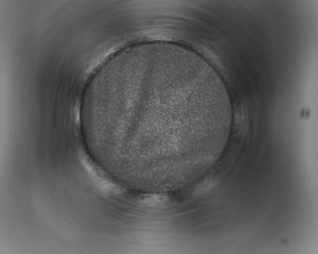 X0000112510398200909071313