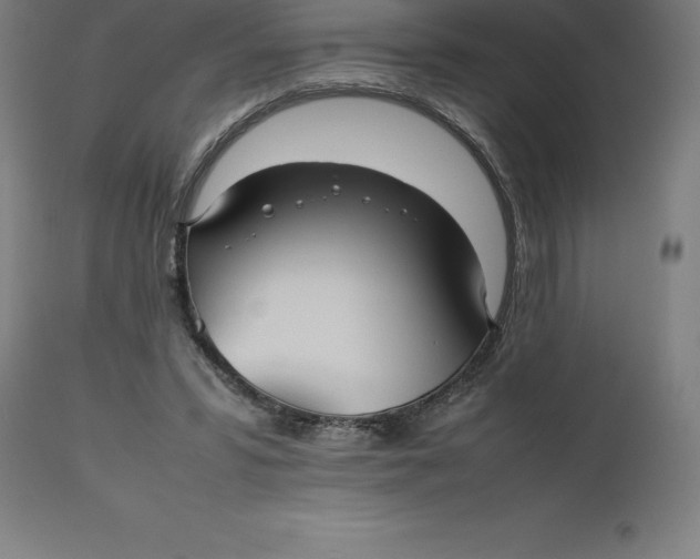 X0000112510399200909071313