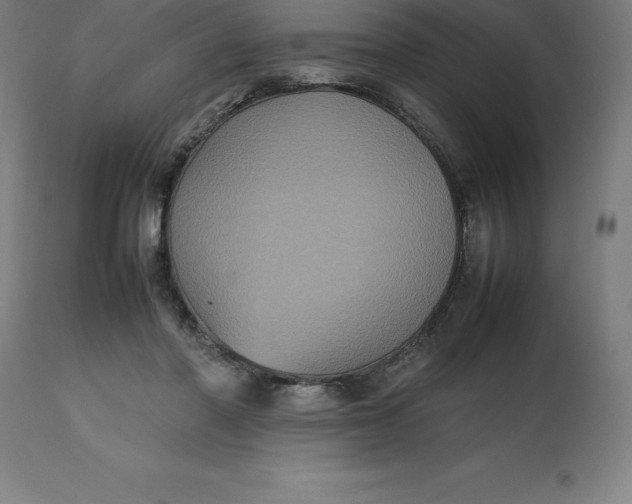 X0000112510406200909071313