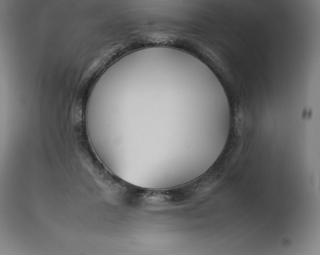 X0000112510407200909071313