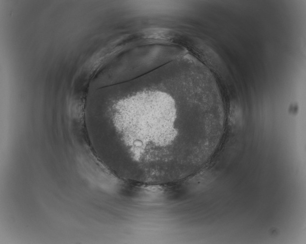 X0000112510409200909071313