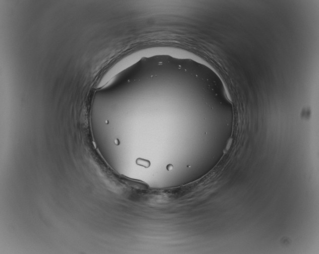 X0000112510411200909071313