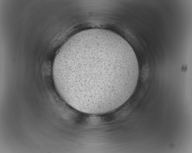 X0000112510413200909071313