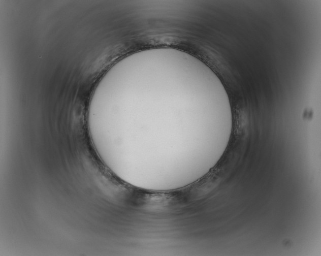 X0000112510414200909071313