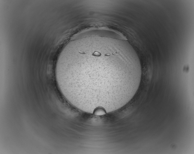 X0000112510416200909071313