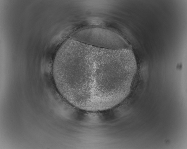 X0000112510417200909071313