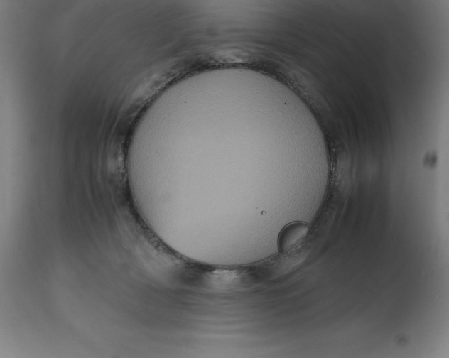 X0000112510418200909071313