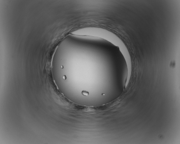 X0000112510419200909071313