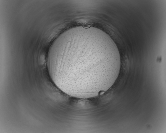 X0000112510420200909071313