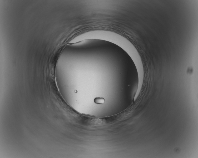 X0000112510421200909071313