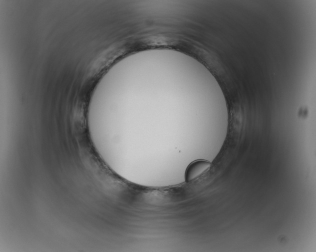 X0000112510422200909071313