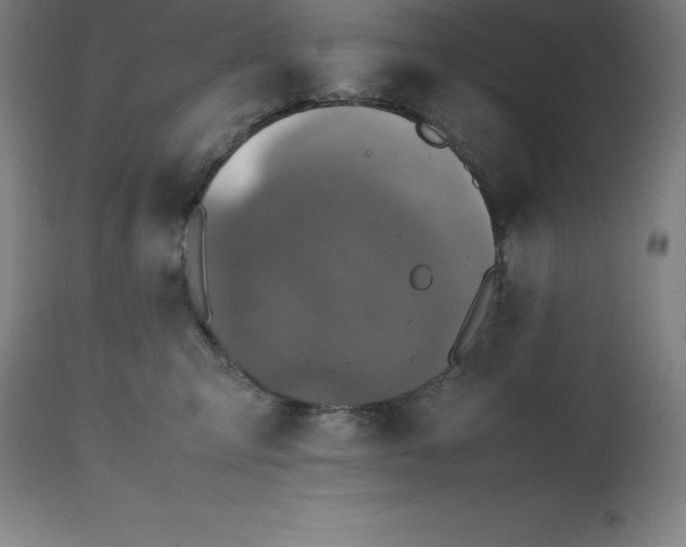 X0000112510423200909071313