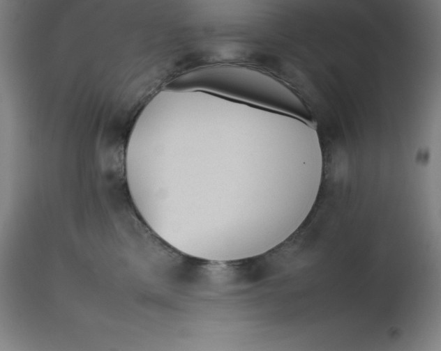 X0000112510425200909071313