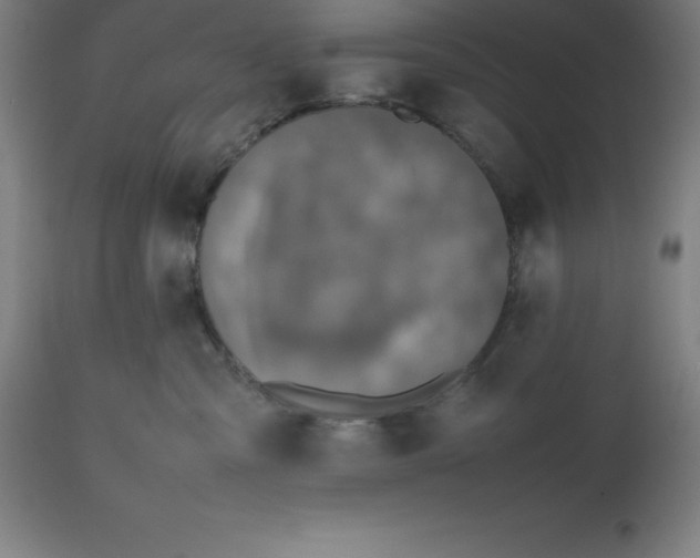 X0000112510427200909071313