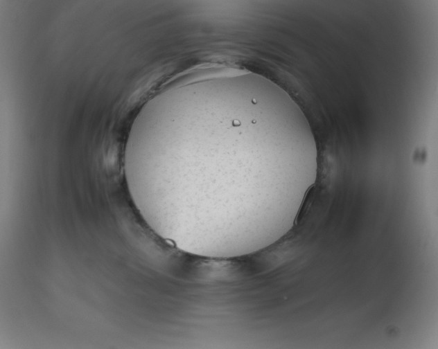 X0000112510428200909071313