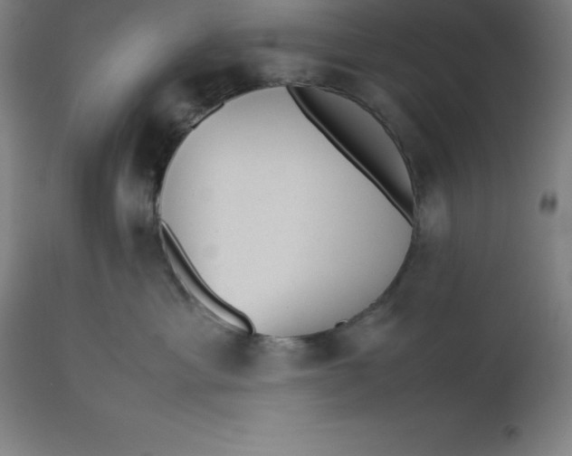 X0000112510429200909071313