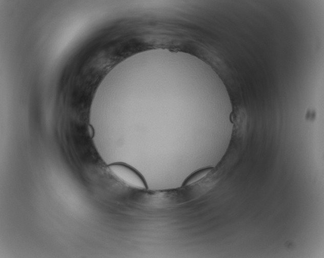 X0000112510430200909071313