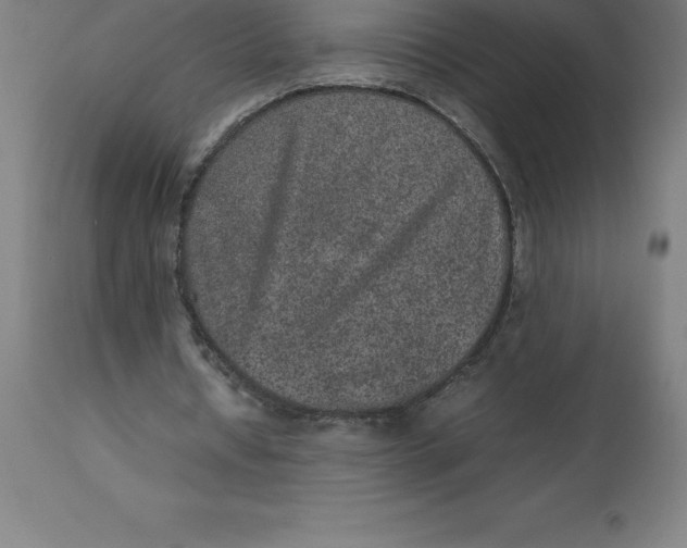 X0000112510434200909071312