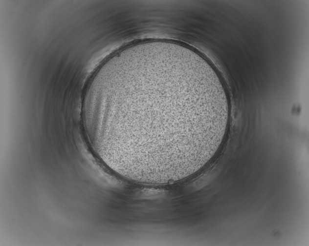 X0000112510437200909071312