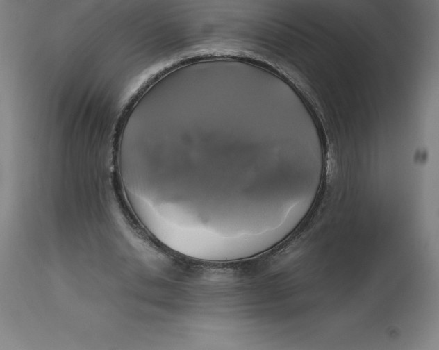 X0000112510438200909071312