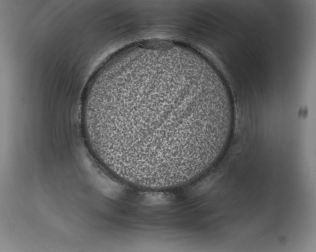 X0000112510439200909071312