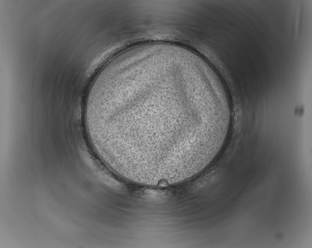 X0000112510442200909071312