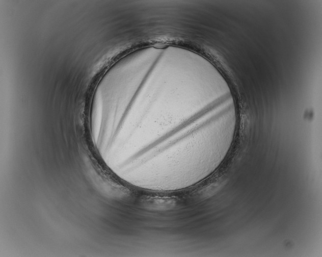 X0000112510443200909071312