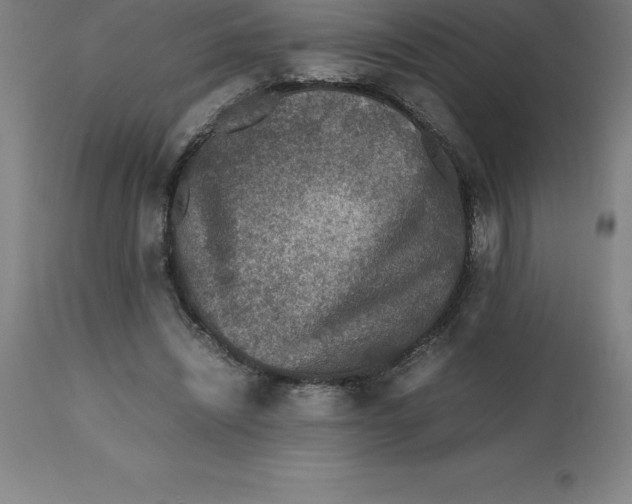 X0000112510444200909071312