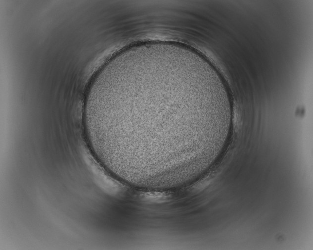 X0000112510445200909071312