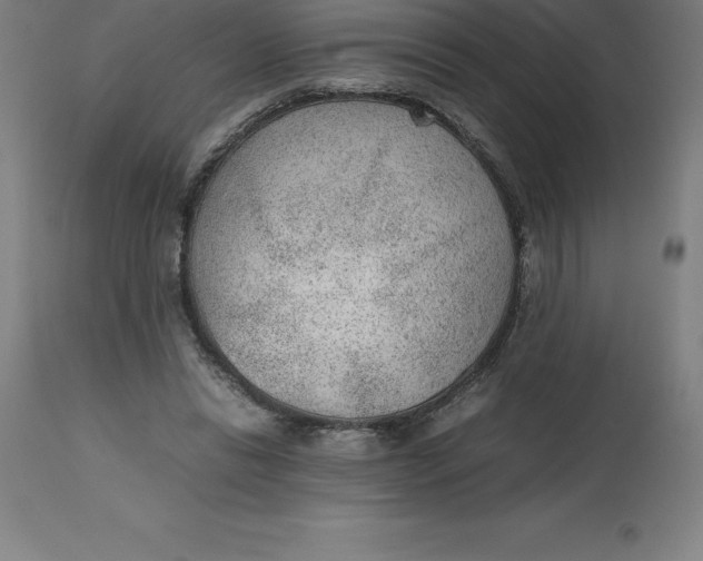 X0000112510446200909071312