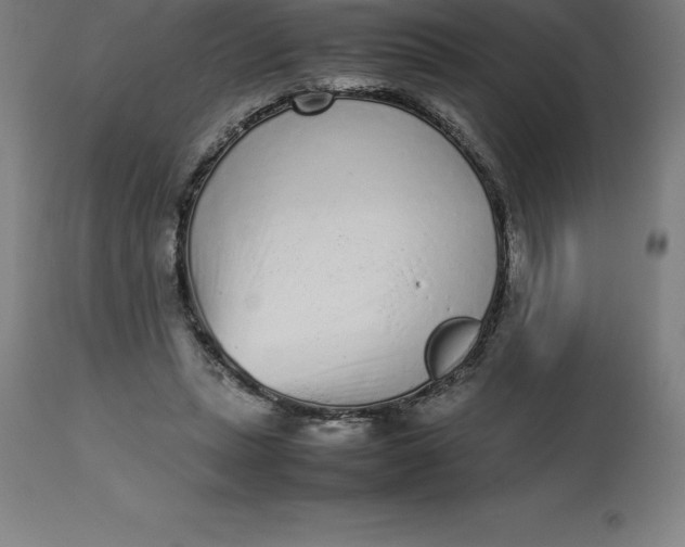 X0000112510447200909071312