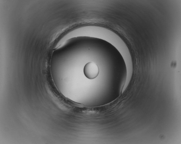 X0000112510448200909071312