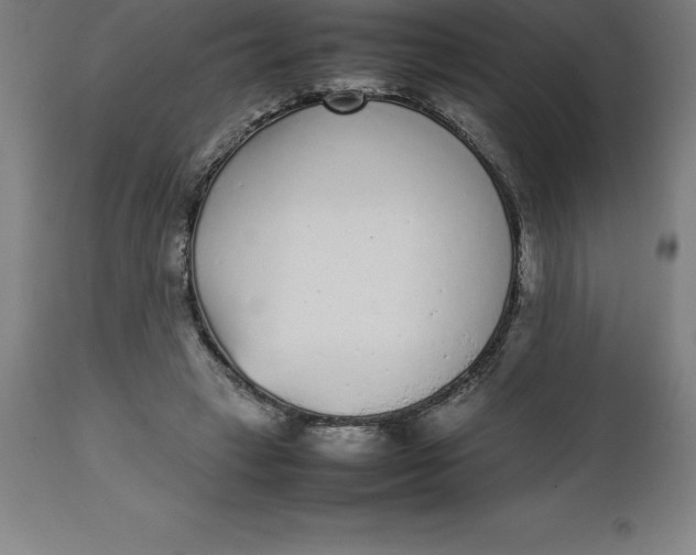 X0000112510449200909071312