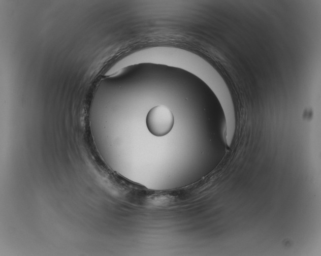 X0000112510452200909071312