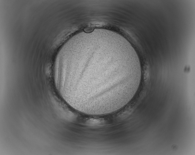 X0000112510455200909071312