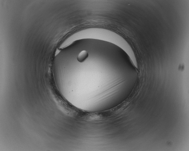 X0000112510456200909071312