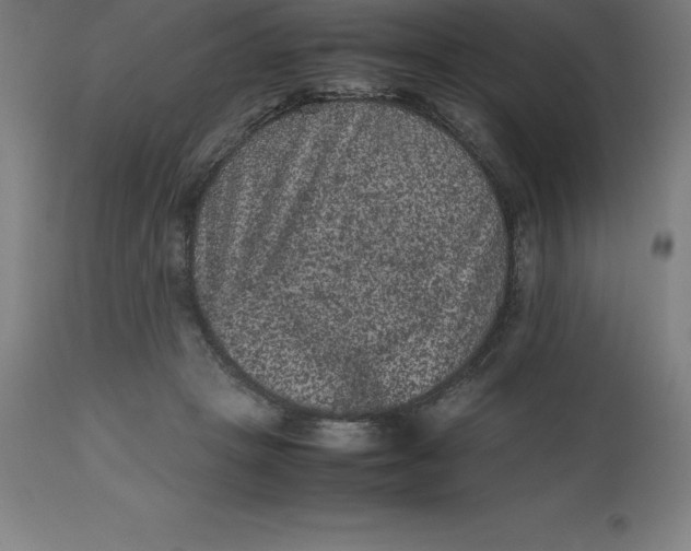 X0000112510457200909071312