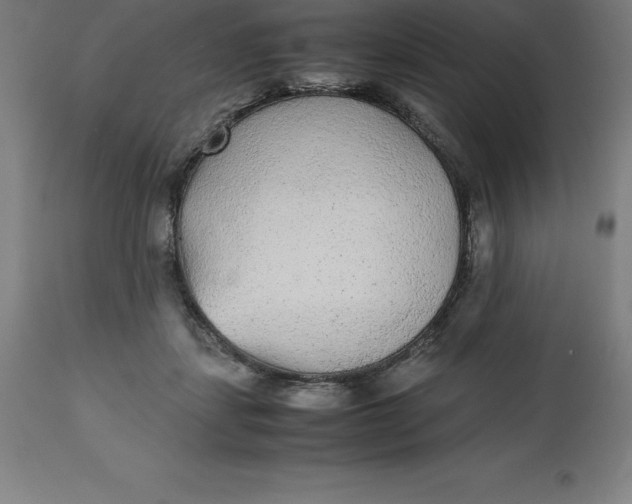 X0000112510459200909071312