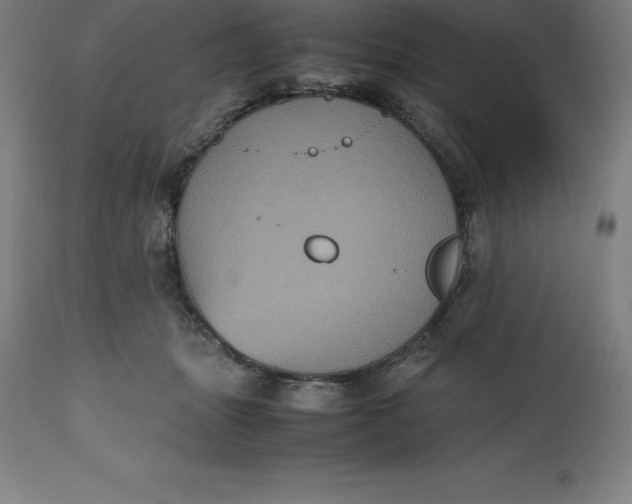 X0000112510463200909071313