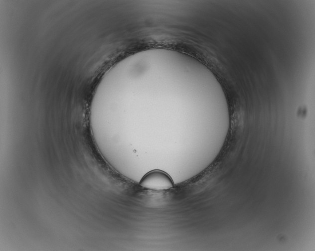 X0000112510464200909071313